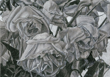 03-Dead-Roses-II-Study