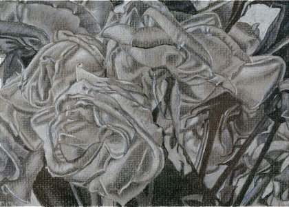05-Dead-Roses-III-Study