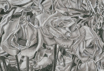 17-Flowers-Study