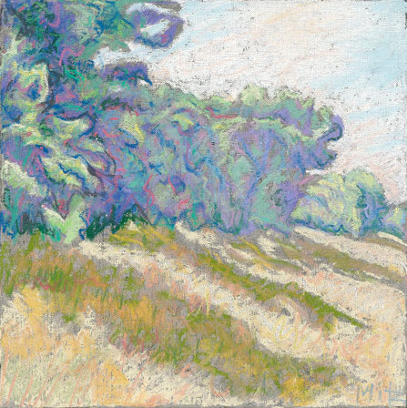 20-Illinois-Prarie-II