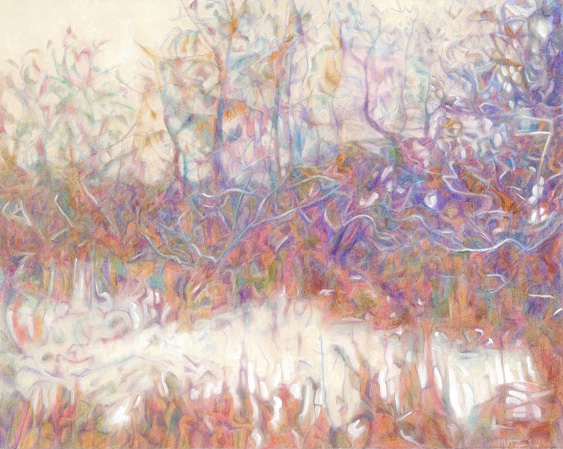 21-Illinois-Prarie-Winter