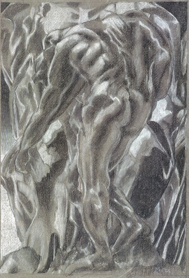 25-Shade-Study