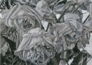 03-Dead-Roses-II-Study