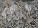 07--Dead-Roses-IV-Study