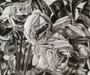 09--Dead-Roses-V-Study
