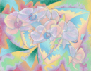 15-Orchids