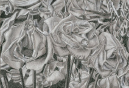 17-Flowers-Study