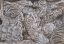 22-Putti-II-Study
