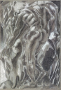 25-Shade-Study